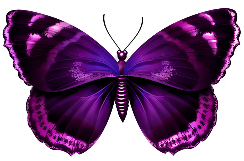 papillon